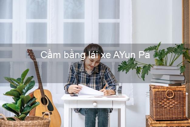 Cầm bằng lái xe AYun Pa Gia Lai