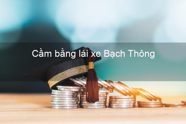 Cầm bằng lái xe Bạch Thông Bắc Kạn