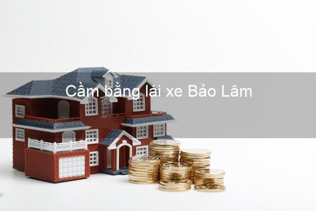 Cầm bằng lái xe Bảo Lâm Cao Bằng