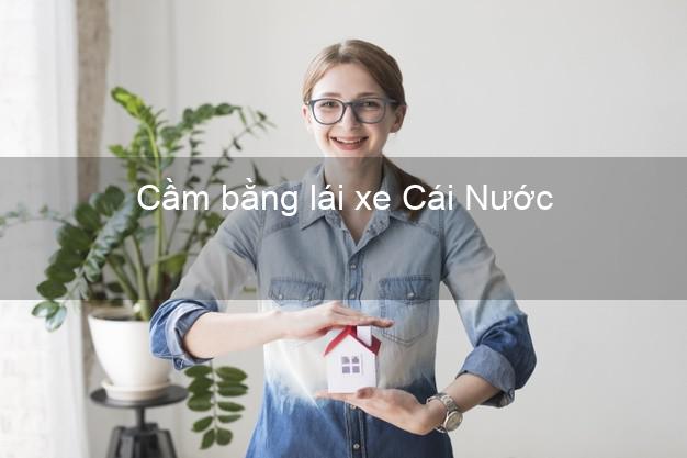 Cầm bằng lái xe Cái Nước Cà Mau