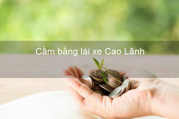 Cầm bằng lái xe Cao Lãnh Đồng Tháp