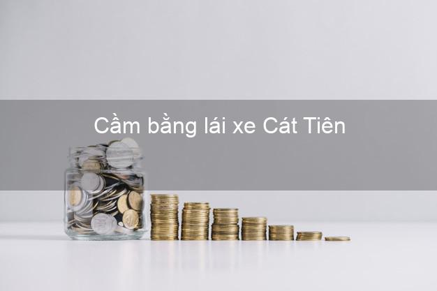 Cầm bằng lái xe Cát Tiên Lâm Đồng