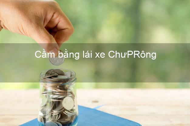 Cầm bằng lái xe ChưPRông Gia Lai