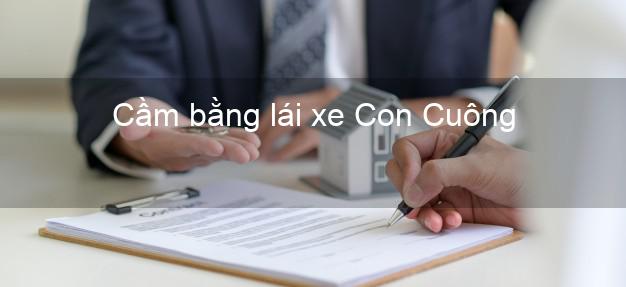 Cầm bằng lái xe Con Cuông Nghệ An