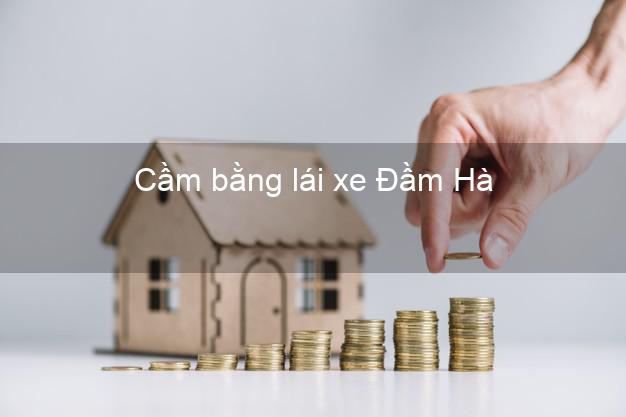 Cầm bằng lái xe Đầm Hà Quảng Ninh