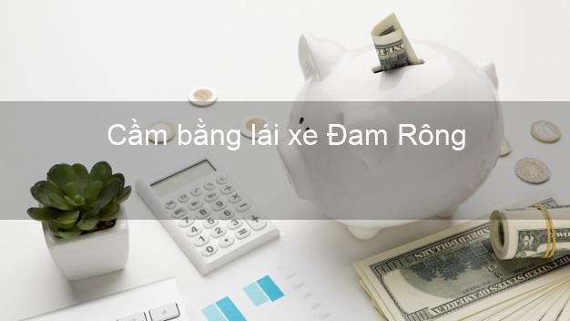 Cầm bằng lái xe Đam Rông Lâm Đồng