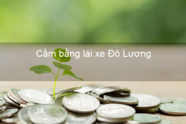 Cầm bằng lái xe Đô Lương Nghệ An