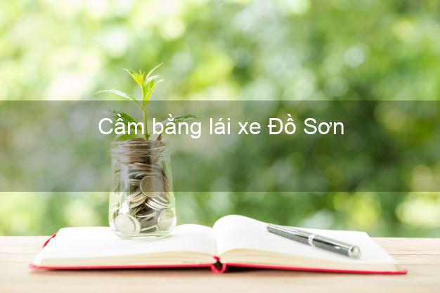 Cầm bằng lái xe Đồ Sơn Hải Phòng