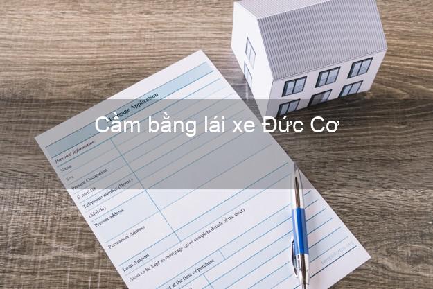 Cầm bằng lái xe Đức Cơ Gia Lai