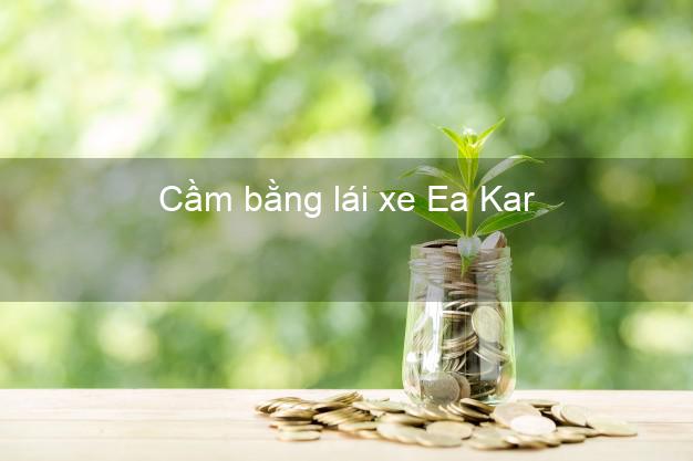 Cầm bằng lái xe Ea Kar Đắk Lắk