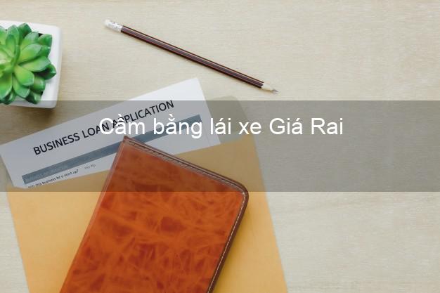 Cầm bằng lái xe Giá Rai Bạc Liêu