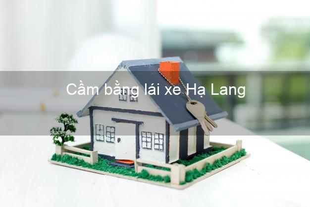 Cầm bằng lái xe Hạ Lang Cao Bằng