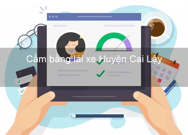 Cầm bằng lái xe Huyện Cai Lậy Tiền Giang