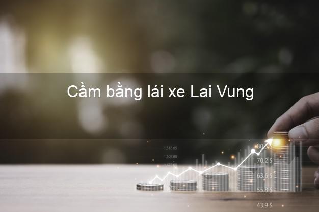 Cầm bằng lái xe Lai Vung Đồng Tháp