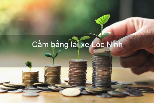 Cầm bằng lái xe Lộc Ninh Bình Phước