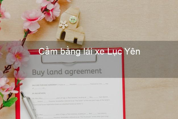 Cầm bằng lái xe Lục Yên Yên Bái