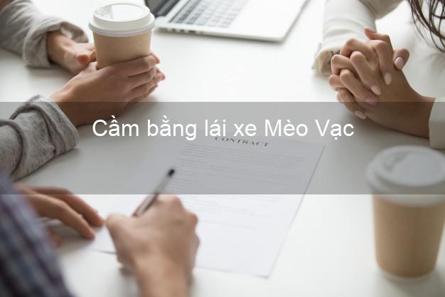 Cầm bằng lái xe Mèo Vạc Hà Giang