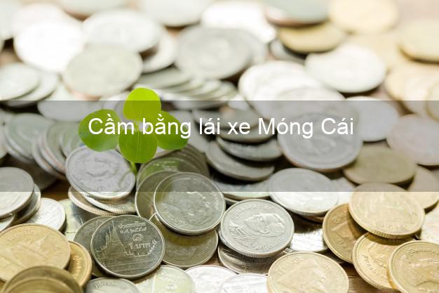 Cầm bằng lái xe Móng Cái Quảng Ninh