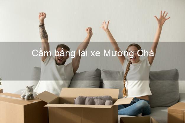 Cầm bằng lái xe Mường Chà Điện Biên