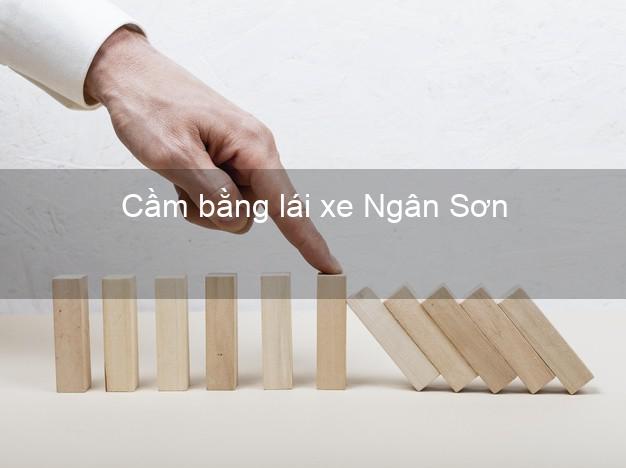 Cầm bằng lái xe Ngân Sơn Bắc Kạn