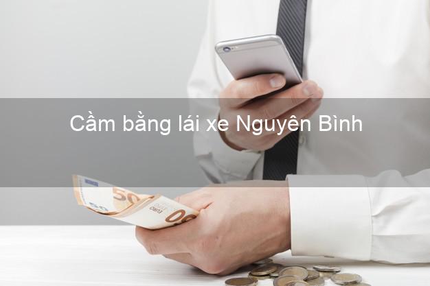 Cầm bằng lái xe Nguyên Bình Cao Bằng