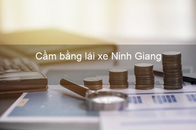 Cầm bằng lái xe Ninh Giang Hải Dương