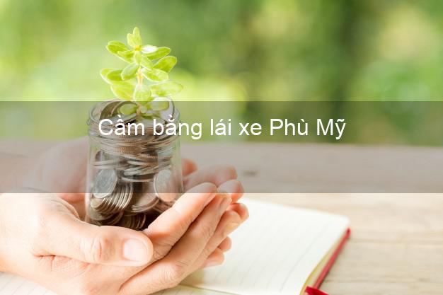 Cầm bằng lái xe Phù Mỹ Bình Định