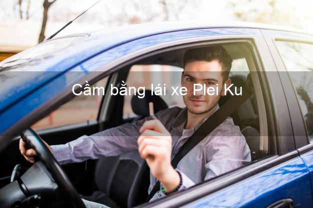 Cầm bằng lái xe Plei Ku Gia Lai