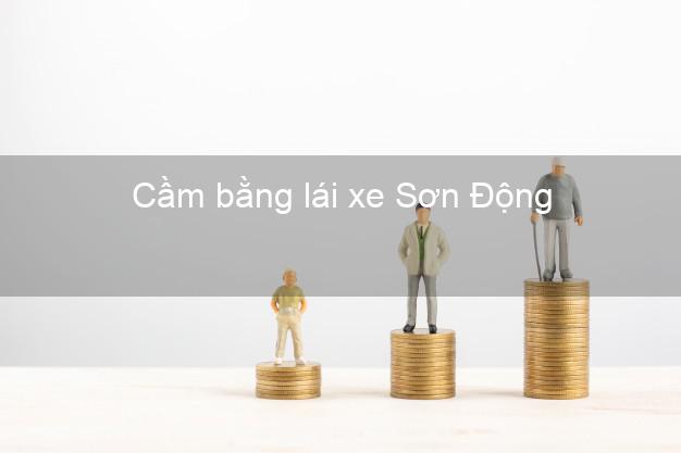 Cầm bằng lái xe Sơn Động Bắc Giang