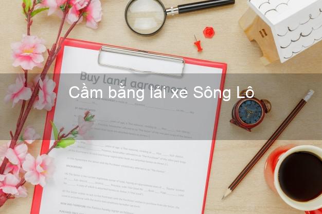 Cầm bằng lái xe Sông Lô Vĩnh Phúc