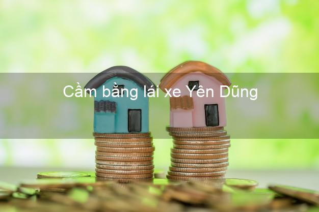 Cầm bằng lái xe Yên Dũng Bắc Giang